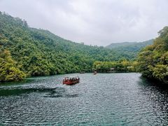 -鼎湖山风景区