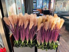 -枫花园汽车电影院(朝阳公园店)
