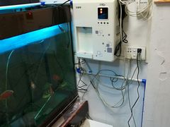 -叶氏水木堂盲人医疗按摩所