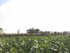-映月湖中央公园