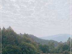 -天强农家菜馆