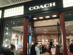 -COACH蔻驰(恒隆广场店)