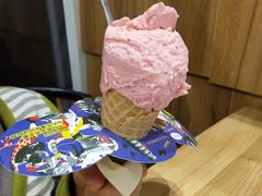 -野人先生现做冰淇淋(北京顺义祥云小镇店)