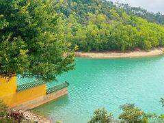 -大赤坎肥仔强烧味海鲜餐厅(大赤坎店)