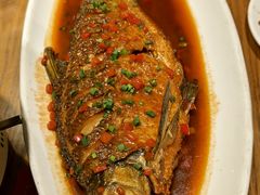 -肖记公安牛肉鱼杂馆· 省级非物质文化遗产(仁和路店)