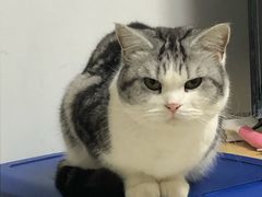 -LELECHA乐乐茶(新街口大洋店)