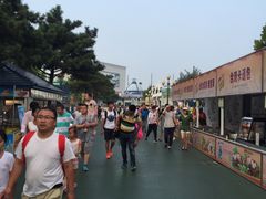 -青岛方特梦幻王国