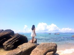 -玫瑰海岸文化旅游度假区