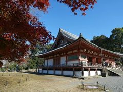 -醍醐寺