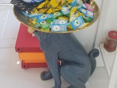 -三叶眼镜城(青云路店)