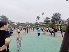 -枫香湖儿童公园