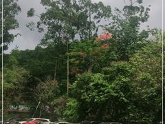 -火炉山森林公园