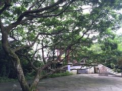 -普陀山风景区-佛顶山