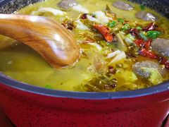 -周鱼小馆石锅酸菜鱼(活力汇店)