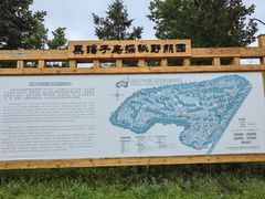 -黑瞎子岛探秘野熊园