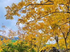 -太湖源风景区