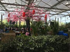 -老磨油饼(高陵店)