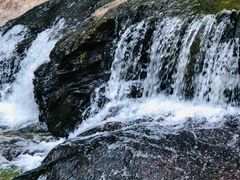 -广州白江湖森林公园