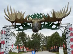 -北极村旅游风景区