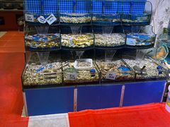 -晶渔坊·海鲜私房菜(东夷小镇店)