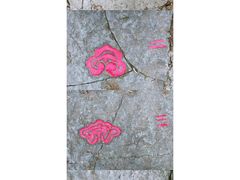 -西湖风景区十里琅珰-五云山