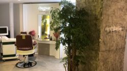点击看大图 -AYO SALON