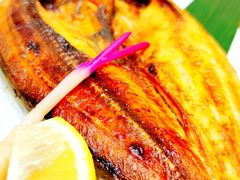 -越日本料理(新地假日广场店)