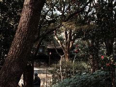 -杭州半山国家森林公园