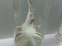 -北海·海洋之窗