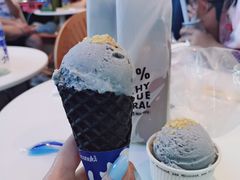 -蔻蔻椰·鲜萃椰子水(COCO Park店)