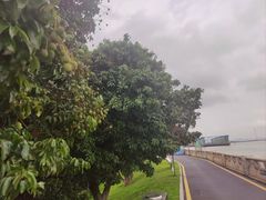 -长洲岛