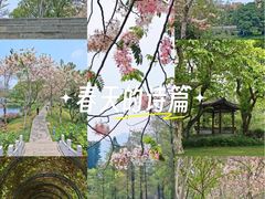-四海公园(南山区)