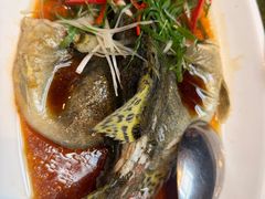 -新美姿美食水疗汇(罗湖口岸店)