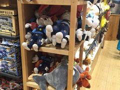 -The Green Party(联盛·九江快乐城店)