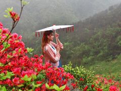 -木兰云雾山
