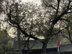 -湘子庙