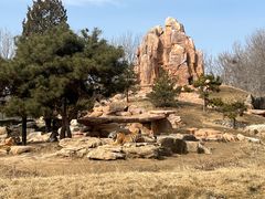 -北京野生动物园
