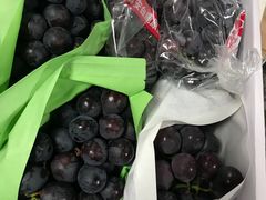 -白鹿原葡萄主题公园