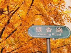 -辽宁大学(崇山校区)