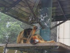 -合肥野生动物园