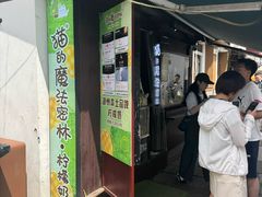 -猫的魔法密林(衣裳街店)