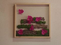 -鸽子窝(宋庄店)