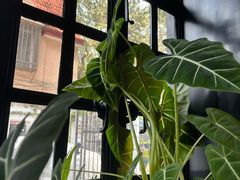 -一尺花园(安和花园店)