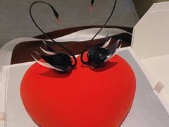 -BLACKSWAN黑天鹅(环球店)