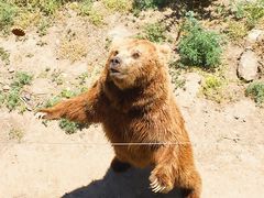 -新疆天山野生动物园