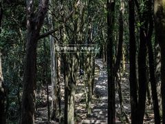 -火炉山森林公园