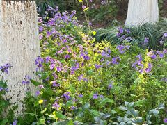 -苏州河梦清园环保主题公园