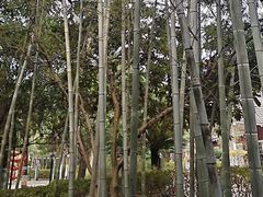 -故乡缘·香格里拉山庄(冷竹路店)