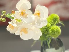 -洪湖水·新楚菜(人民大学店)