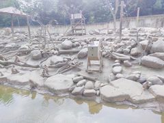 -常州淹城野生动物世界